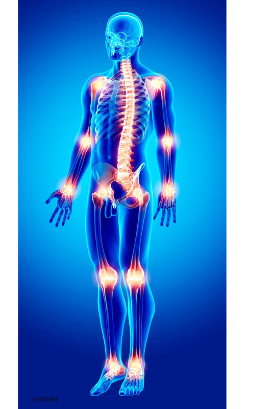 Arthro Komplex Bild