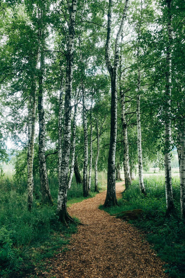 Natura