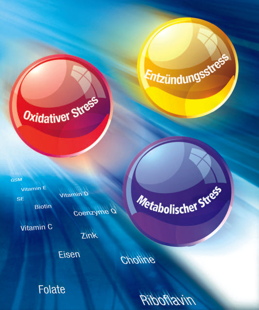  IABC Metabolischer Analysestatus Basis venös kaufen | MIROMI Schweiz 